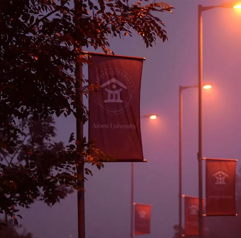 Ashesi Avenue Flags